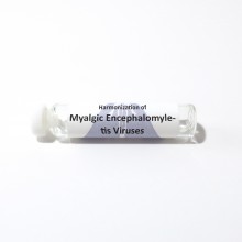 Myalgic Encephalomyletis Viruses